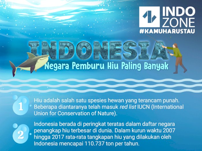 Indonesia, Negara Pemburu Hiu Paling Banyak