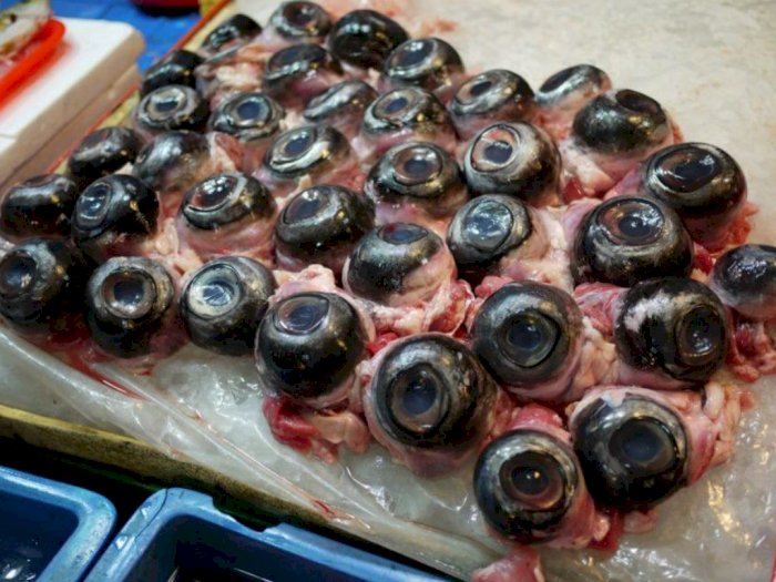 Maguro no Medama, Kuliner Khas Jepang dari Mata Ikan Tuna