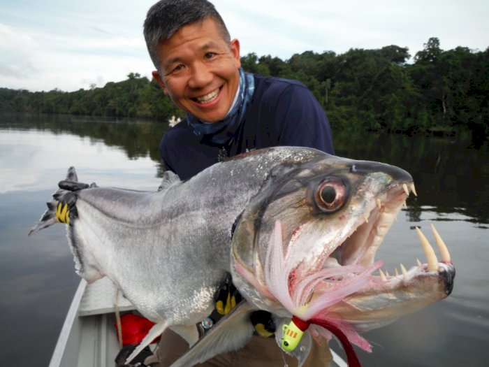 Menguak Fakta Seputar Ikan Vampir Penghuni Hutan Amazon
