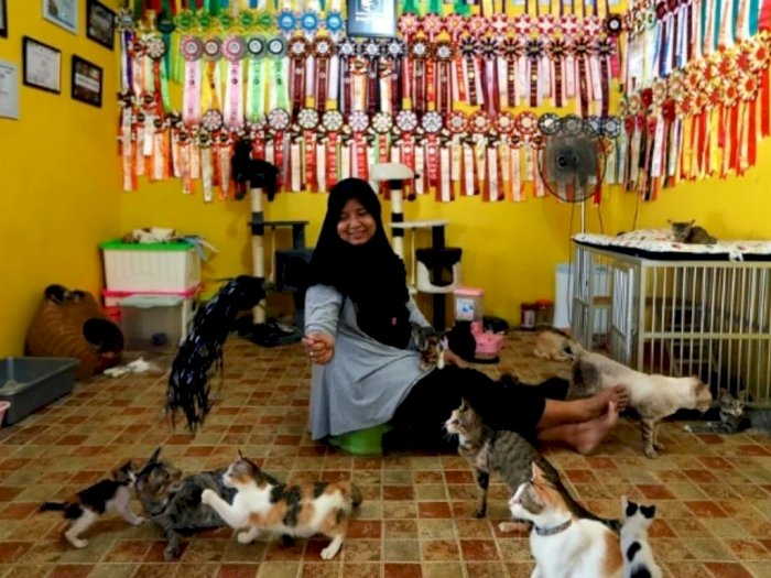 Dita, Sosok Ibu Rumah Tangga yang Pelihara Ratusan Kucing di Rumahnya
