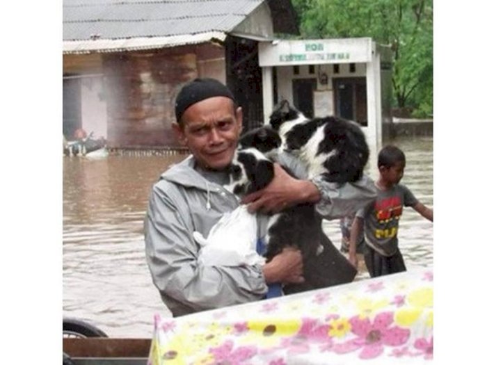 Inilah Potret Penyelamatan Kucing Kala Banjir Melanda
