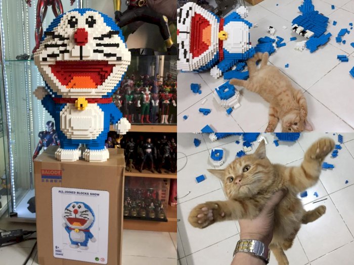 Rakitan Doraemon Ini Hancur Begitu Saja Gara-gara Ulah Kucing Oren Ini