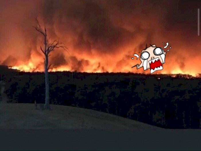 Bikin Geger! Ada Penampakan Wajah Iblis di Kebakaran Hutan Australia