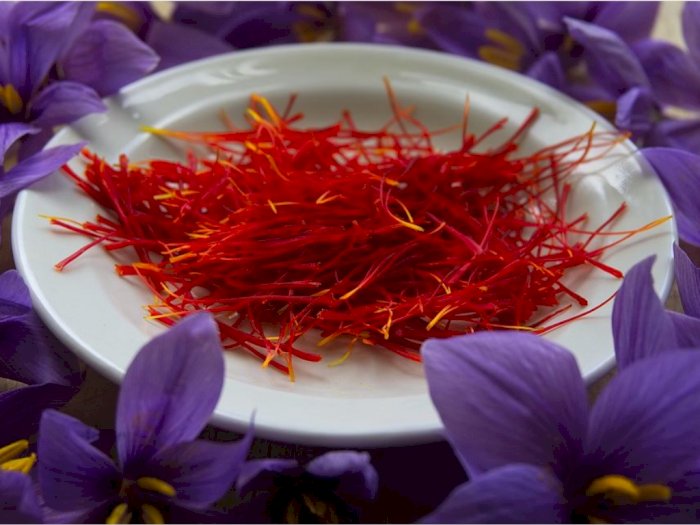 Saffron, Rempah Termahal di Dunia 