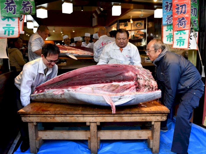 Pengusaha Sushi Ini Beli Ikan Tuna Seharga Rp25 Miliar