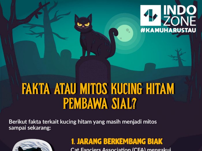 Fakta atau Mitos Kucing Hitam Pembawa Sial?