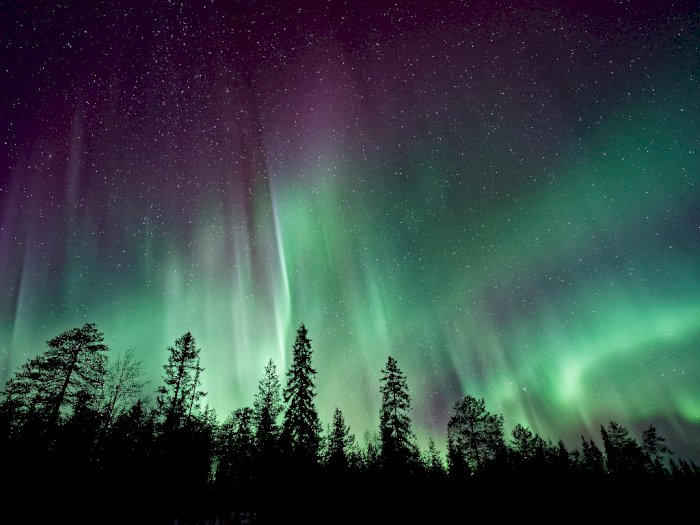 Ini 7 Fakta Menarik dari Si Cantik Aurora yang Buat Mata Terpesona