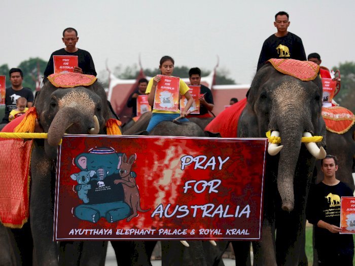 Sekelompok Gajah Beri Penghormatan Korban Kebakaran dengan Pawai