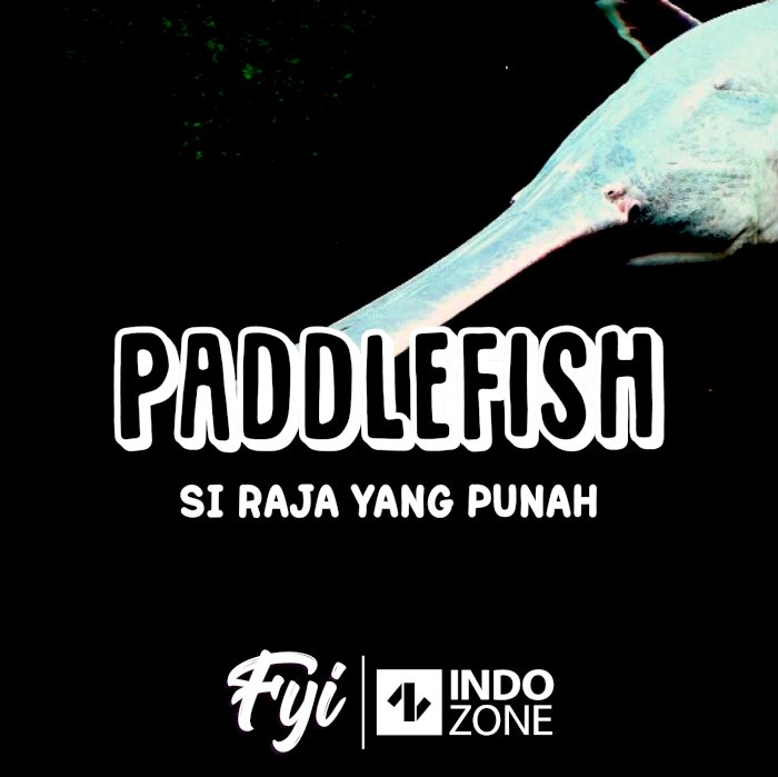 Paddlefish, Si Raja Yang Punah