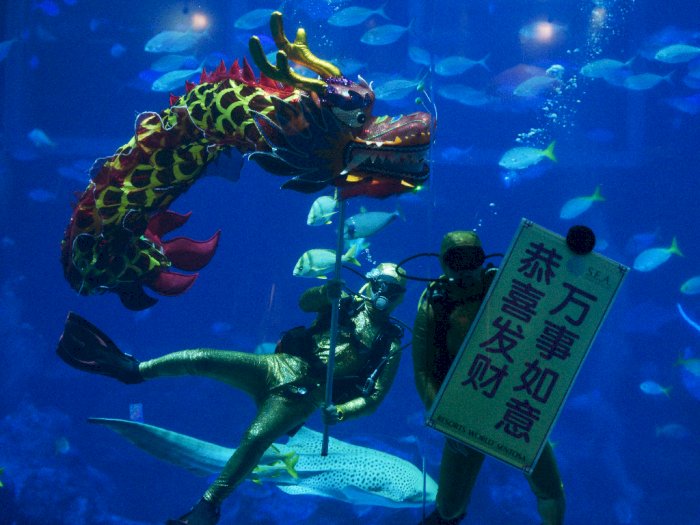 FOTO: Pertunjukan Tarian Naga di Dalam Air Sambut Imlek 2020