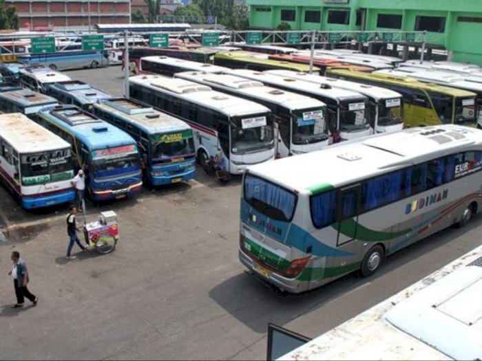 Tips Piknik Aman Dimulai dari  Memilih Bus Pariwisata