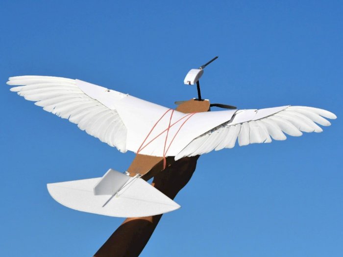 Drone Buatan Ilmuwan di Stanford University Berbentuk Seperti Burung