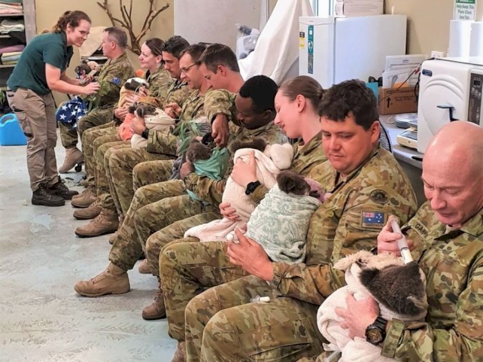 Buat Haru, Ini Momen Tentara Australia Rawat Koala Seperti Anaknya