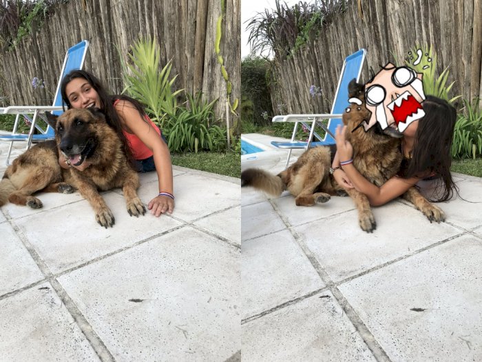 Niatnya Mau Berfoto dengan Anjingnya, Ending Wanita Ini Bikin Ngilu