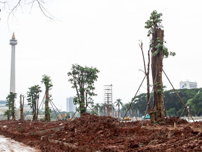 FOTO: Sempat Nyaris Gundul, Monas Kembali Ditanami Pohon 