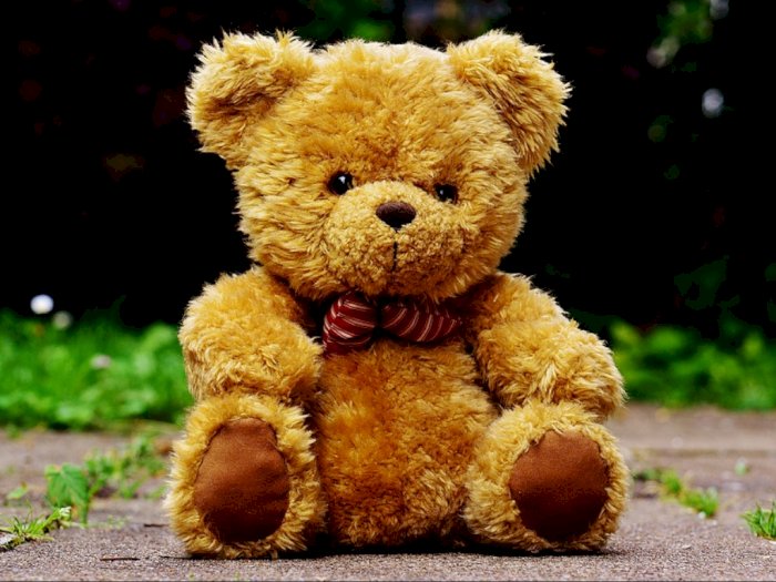  Asal Usul Boneka Teddy Bear