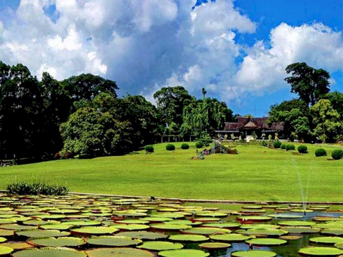 LIPI Targetkan Kebun Raya Bogor Jadi Situs Warisan Dunia UNESCO