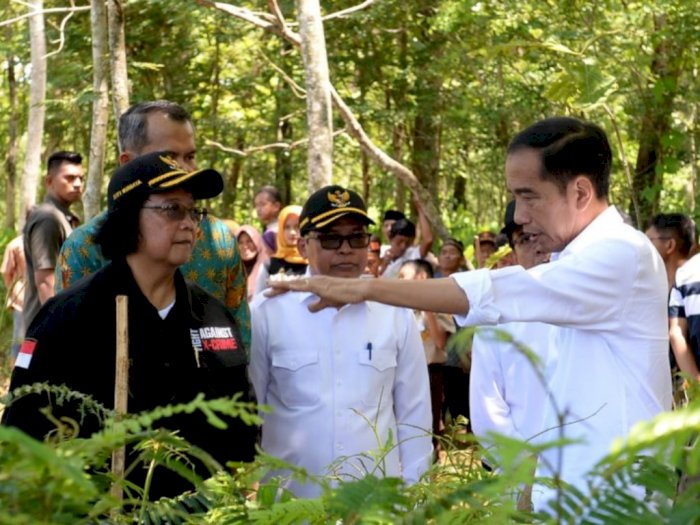 Dapat Arahan Khusus dari Jokowi, Menteri KLHK: Langsung Rapat