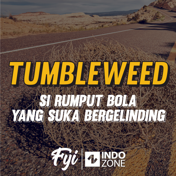 Tumbleweed, si Rumput Bola yang Suka Bergelinding