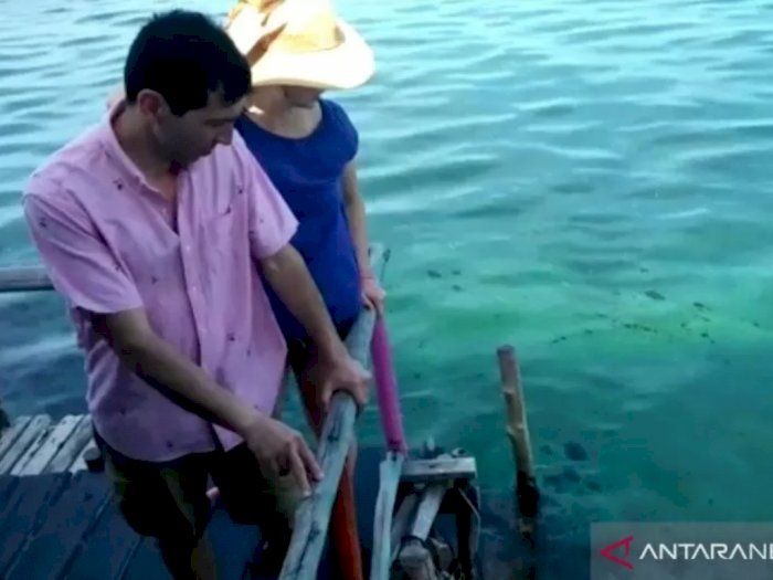 Kecewanya Turis yang Gagal Snorkeling di Bintan karena Tercemar Limbah
