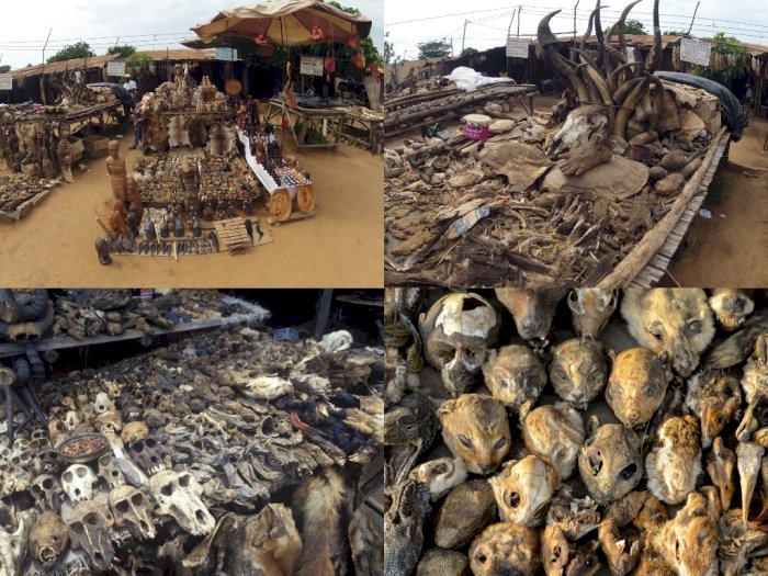 Pasar Voodoo di Benin Afrika Barat, Jual Aneka Perlengkapan Sihir 
