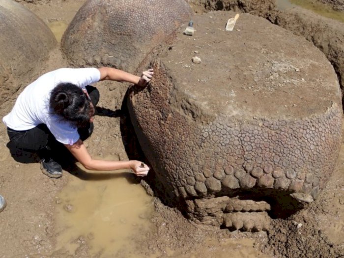 Orang Ini Temukan Hewan Purba Glyptodon Berusia  Ribuan Tahun