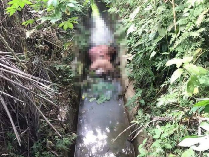 Jenazah Wanita Muda Ditemukan di Dalam Parit di  Padang Lawas
