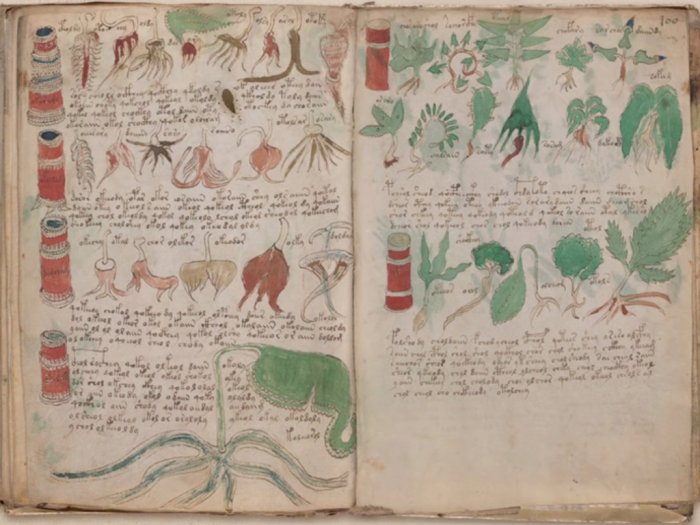 Kisah Naskah Voynich, Tulisan Misterius pada Abad Pertengahan