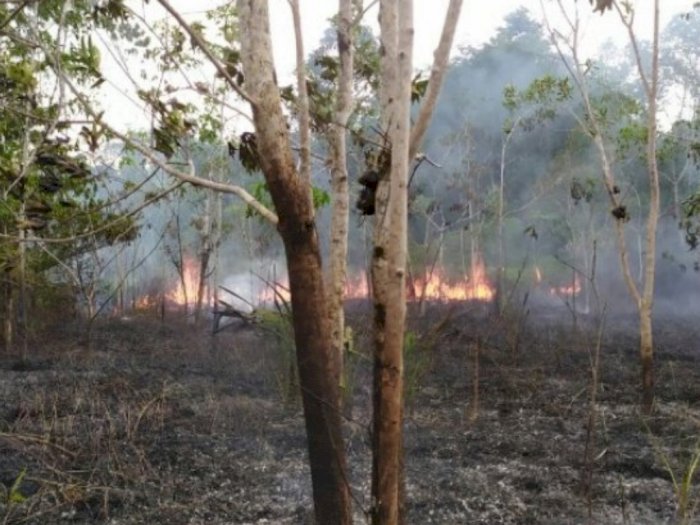 2,5 Hektare Lahan di Kota Gunungsitoli Terbakar Dampak Kemarau