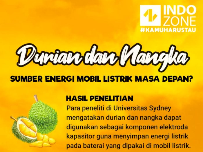 Durian dan Nangka, Sumber Energi Mobil Listrik Masa Depan?