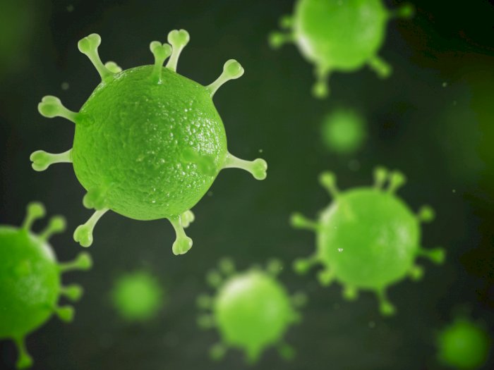 Selain Virus Corona, Ini Pandemi yang Pernah Menyebar di Dunia
