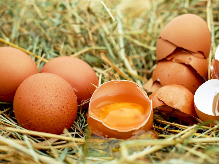 #KAMUHARUSTAU Konsumsi Kuning Telur Dapat  Meningkatkan Gairah Seks
