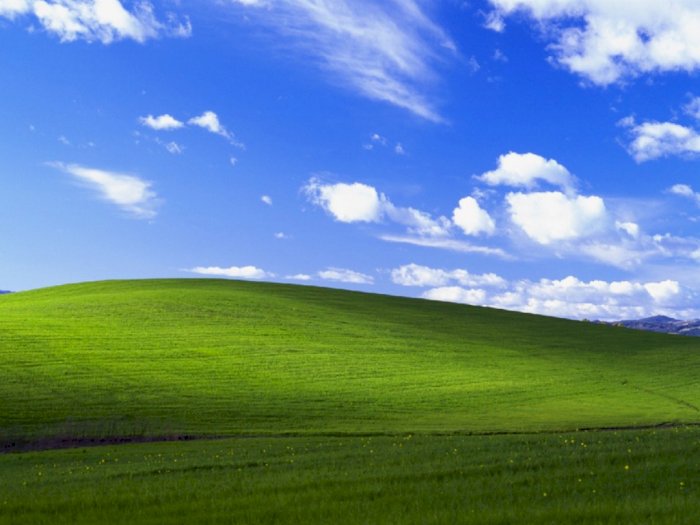 Kisah di Balik Wallpaper Legendaris Windows XP