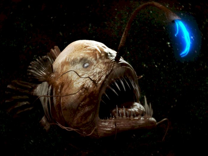 Anglerfish, Monster Laut Dalam yang Berburu dengan Lampu