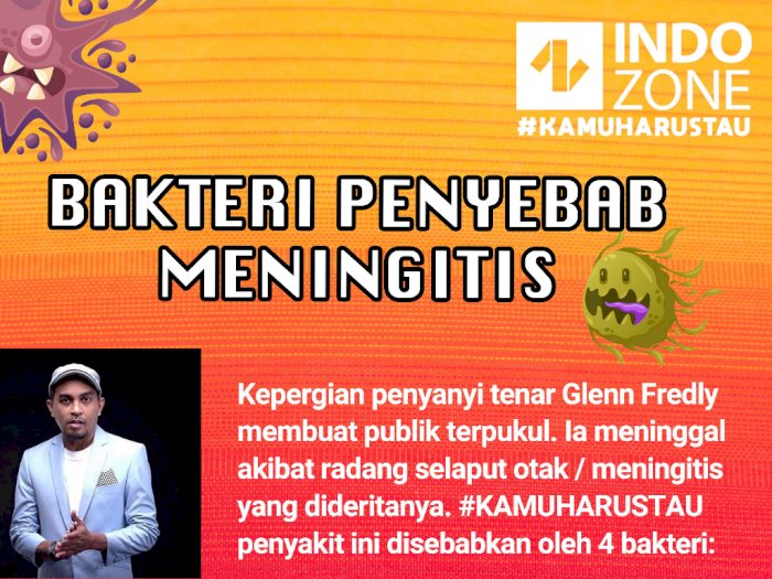 Bakteri Penyebab Meningitis