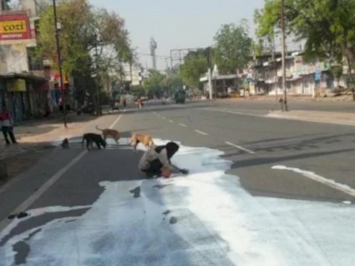 Pria di India Mengais Tumpahan Susu di Jalan Bersama Anjing, Videonya Bikin Hati Terenyuh