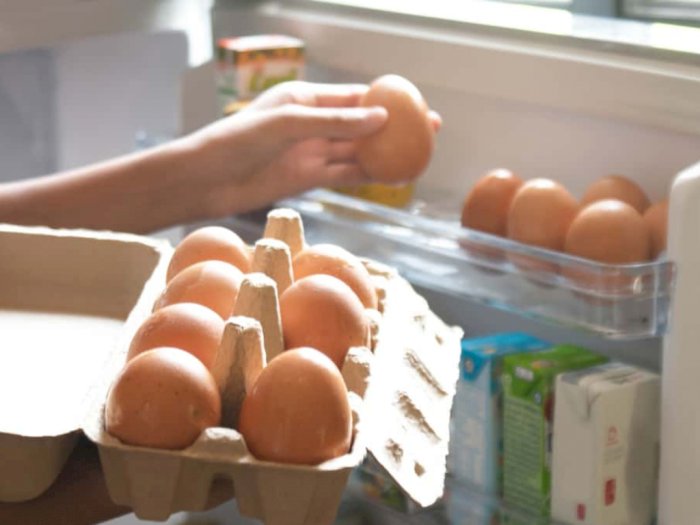 Pintu Kulkas Ternyata Bukan Tempat Terbaik Menyimpan Telur, Ini Alasannya