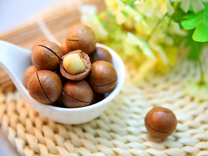 Kacang Macadamia yang Dijual dengan Harga Tinggi