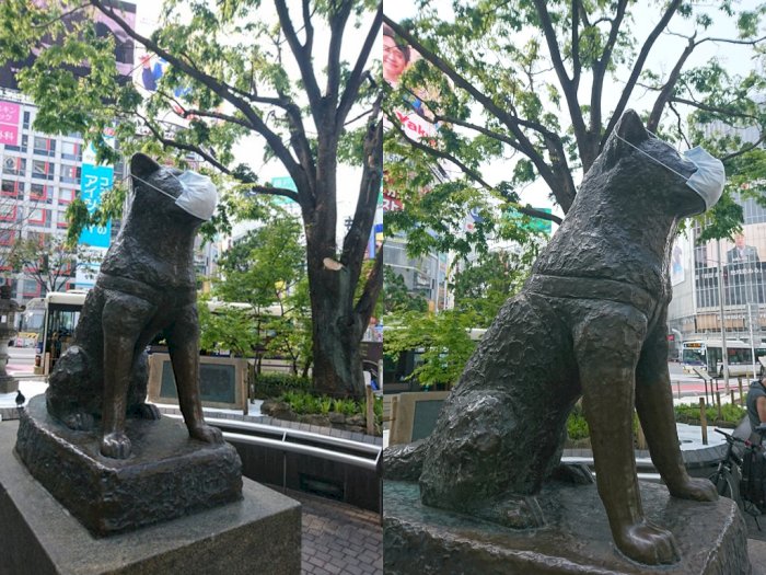 Warga Jepang Pakaikan Masker di Patung Anjing Hachiko