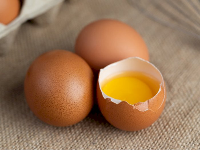 Telur Infertil Dilarang Dijual, Ini Sederet Faktanya