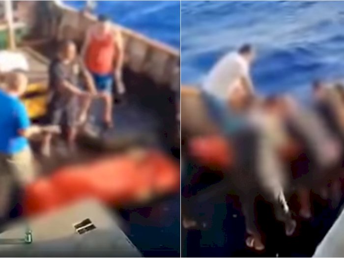 Viral Pelarungan ABK ke Laut, Kemenhub Jelaskan Terkait Penanganan Jenazah di Atas Kapal