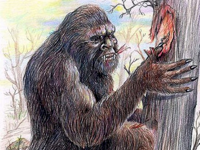 Yowie, Makhluk Bigfoot Legenda Suku Aborigin 
