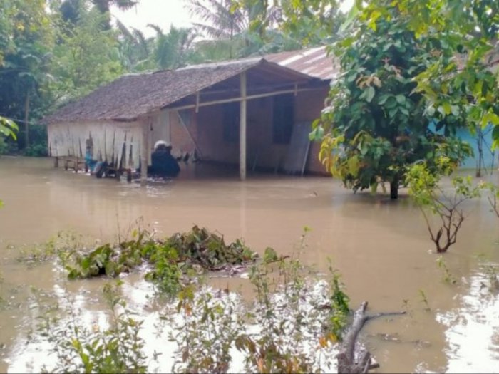 Tiga Kecamatan di Kabupaten Langkat Dilanda Banjir Akibat Hujan Deras