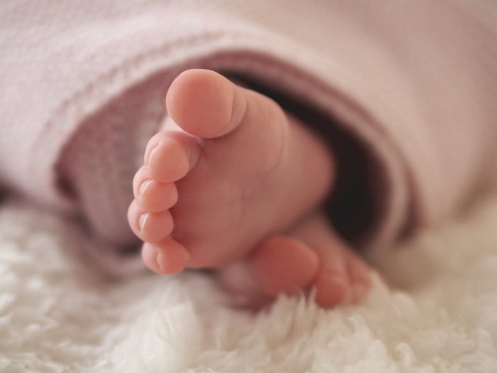 Viral Warga Kena Prank Kardus Sepatu, Ternyata Isinya Mayat Bayi