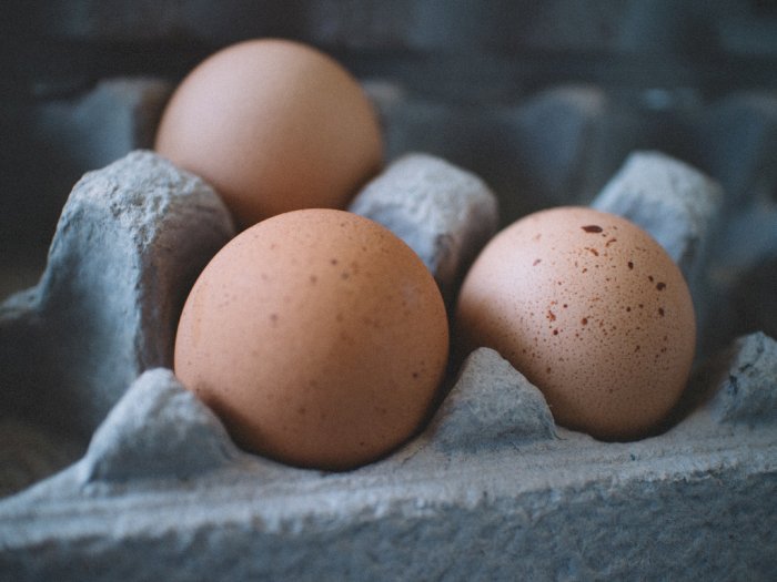 Telur Makanan Penuh Gizi, Berikut Ini Gizi yang Ada Pada Satu Butir Telur yang Direbus