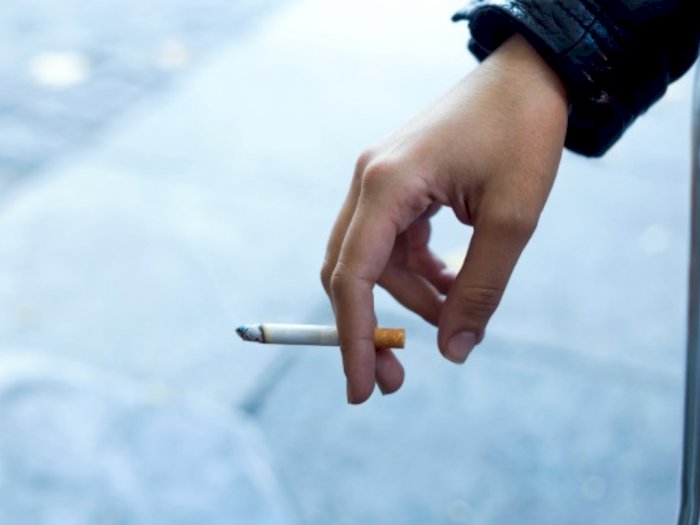Sering Tidak Sengaja Hirup Asap Rokok? Coba Lindungi Tubuh dengan Cara Ini