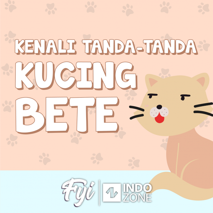 Kenali Tanda-Tanda Kucing Bete