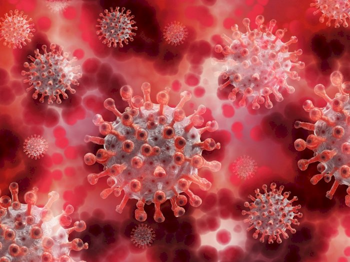 Dokter Italia Sebut Virus Corona Sudah Melemah dan Tidak Mematikan Lagi