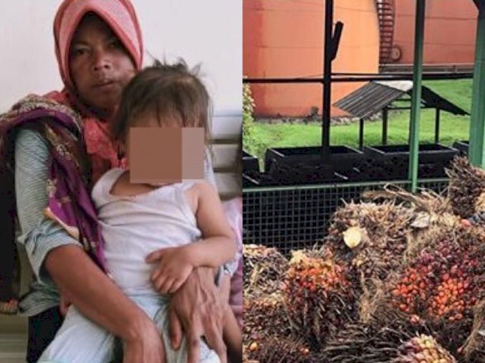 Curi Sawit Rp 76 Ribu Buat Beli Beras, Ibu Tiga Anak Balita di Riau Diseret ke Pengadilan