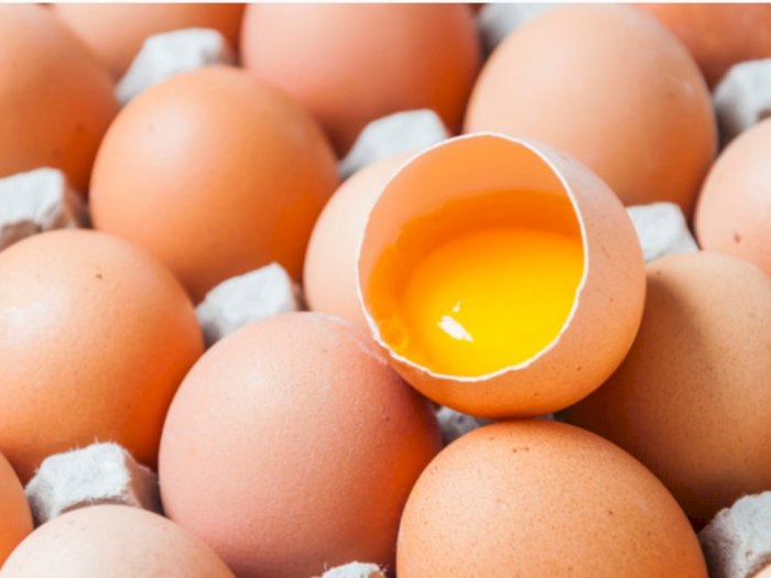 Kontroversi Telur Infertil: Amankah untuk Dikonsumsi? Ini Penjelasan Pakar Gizi